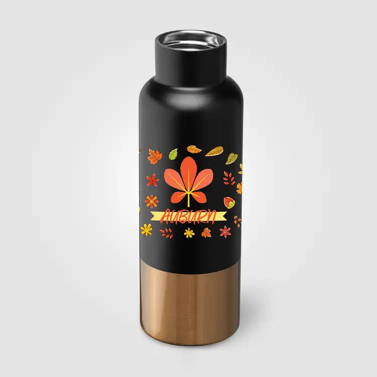Aurelia Recycled Stainless Steel Vacuum Bottle with Gold Accents 21 oz #10
