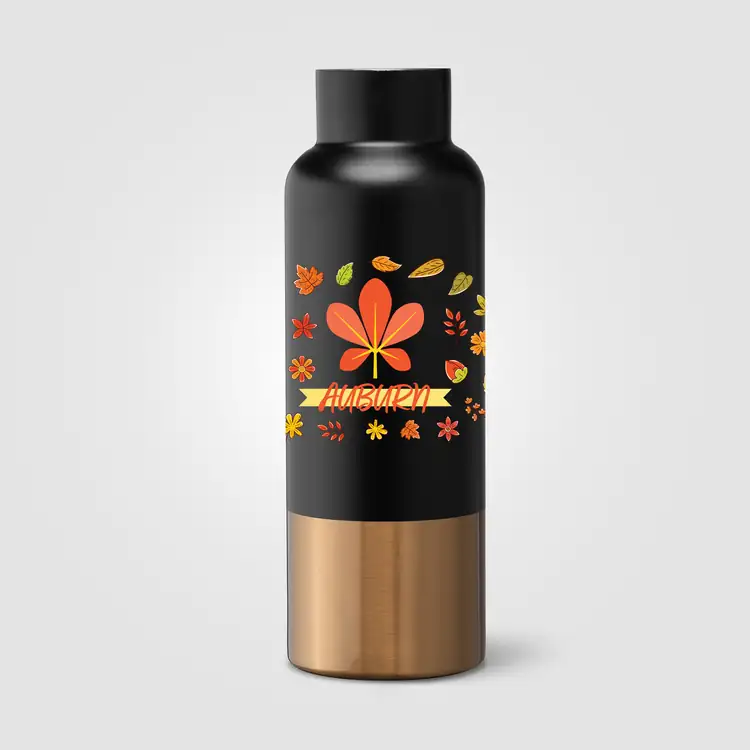 Aurelia Recycled Stainless Steel Vacuum Bottle with Gold Accents 21 oz #11