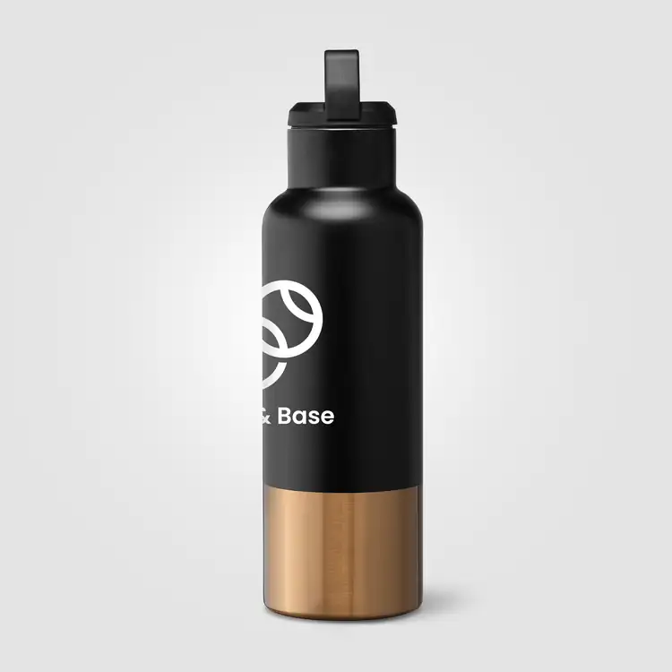 Aurelia Recycled Stainless Steel Vacuum Bottle with Gold Accents 21 oz #18