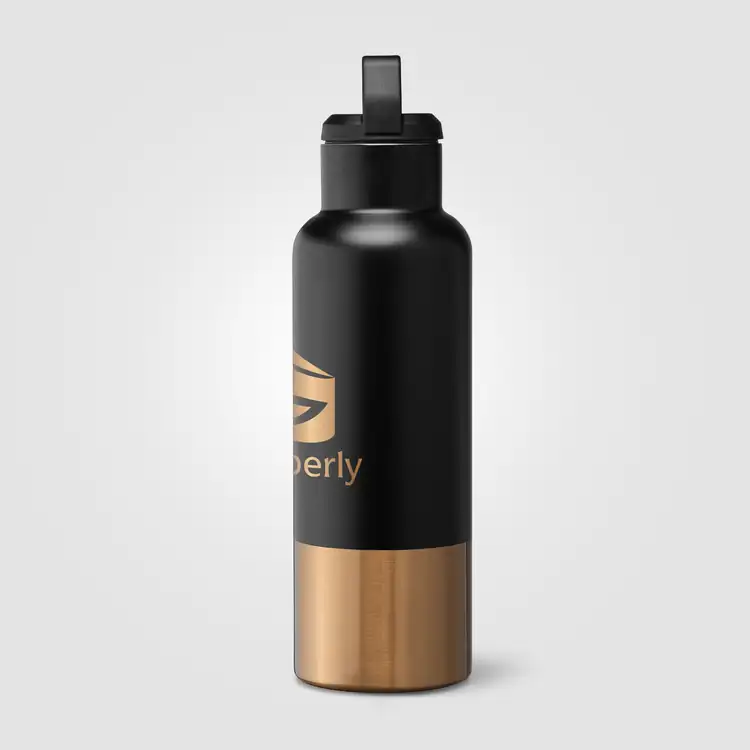 Aurelia Recycled Stainless Steel Vacuum Bottle with Gold Accents 21 oz #6