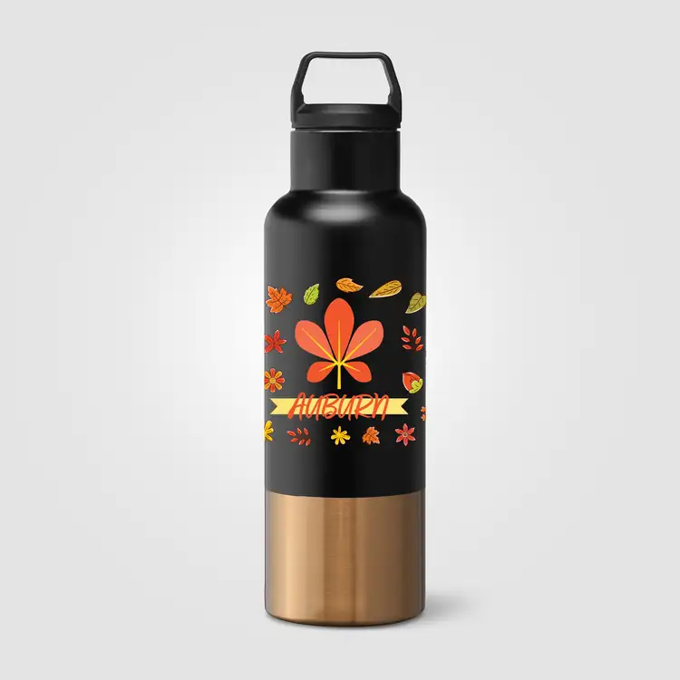 Aurelia Recycled Stainless Steel Vacuum Bottle with Gold Accents 21 oz #7