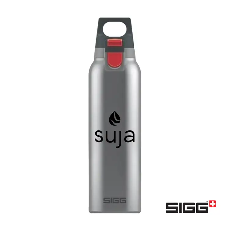 Bouteille isotherme SIGG Hot & Cold ONE 17 oz #2