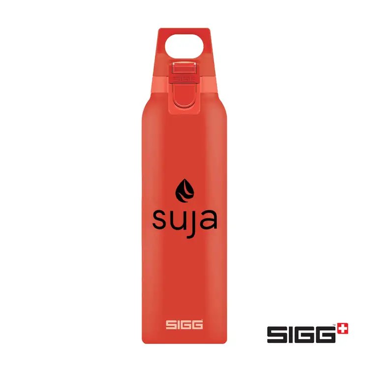 Bouteille isotherme SIGG Hot & Cold ONE 17 oz #3