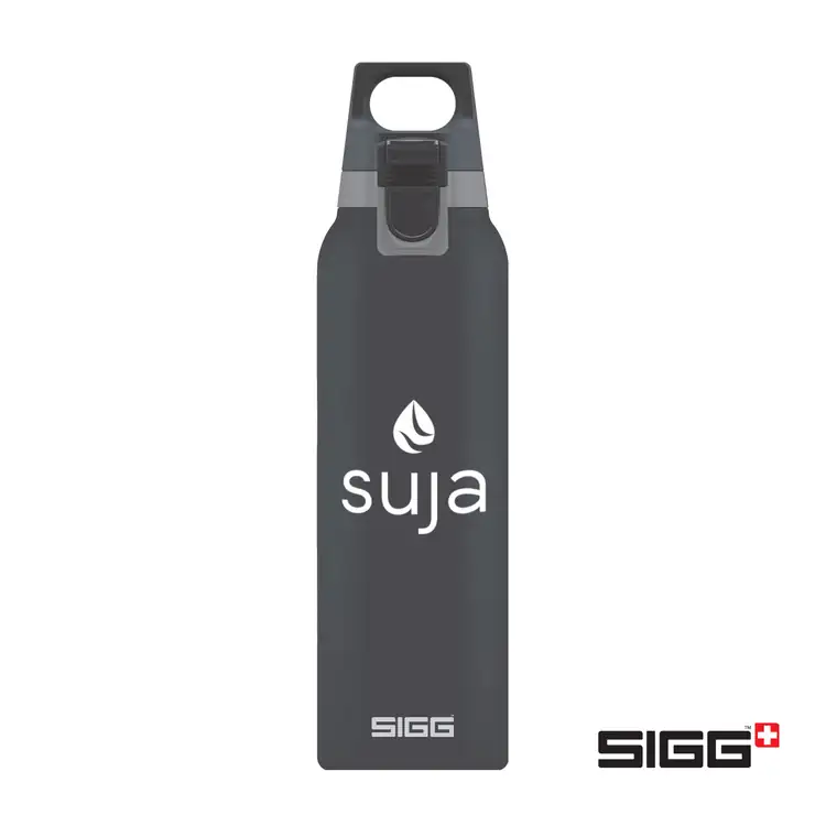 Bouteille isotherme SIGG Hot & Cold ONE 17 oz #4