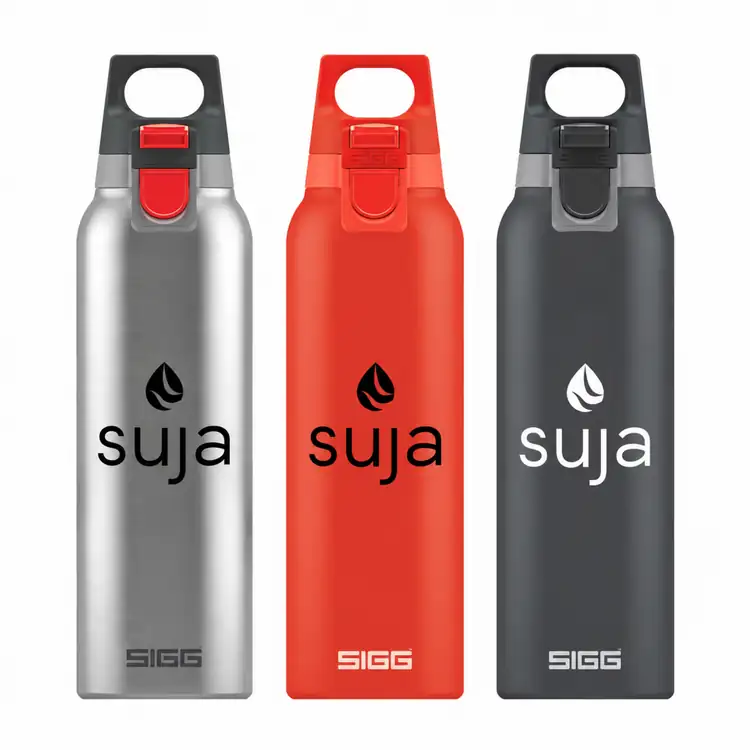 Bouteille isotherme SIGG Hot & Cold ONE 17 oz