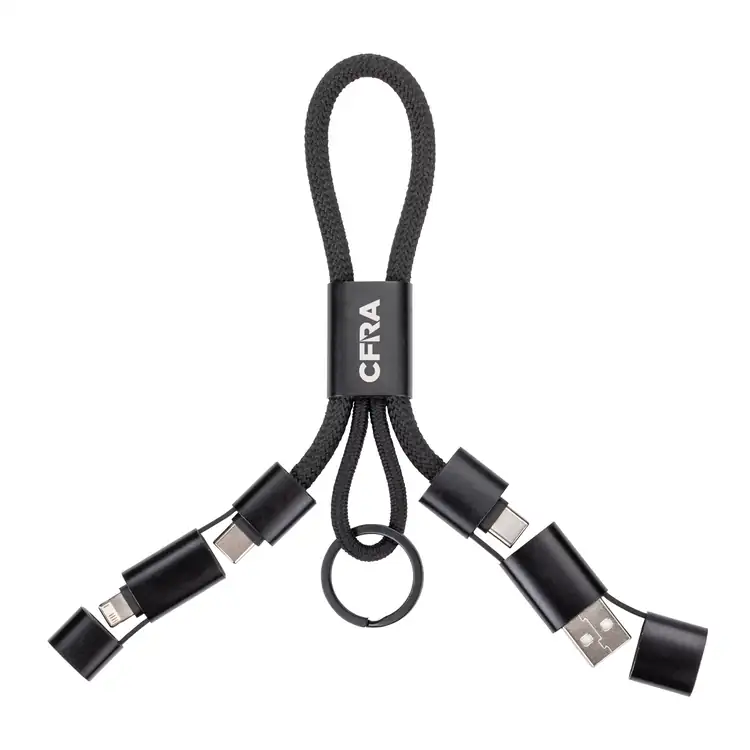 Betta Multi-Charge Cable with Keyring #2