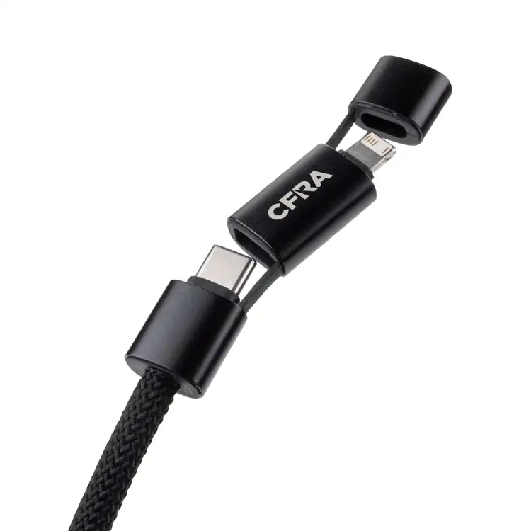 Betta Multi-Charge Cable with Keyring #5