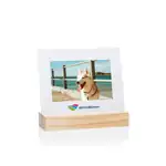 Bassan Multicolor Picture Frame for Photo 4" x 6" - Horizontal