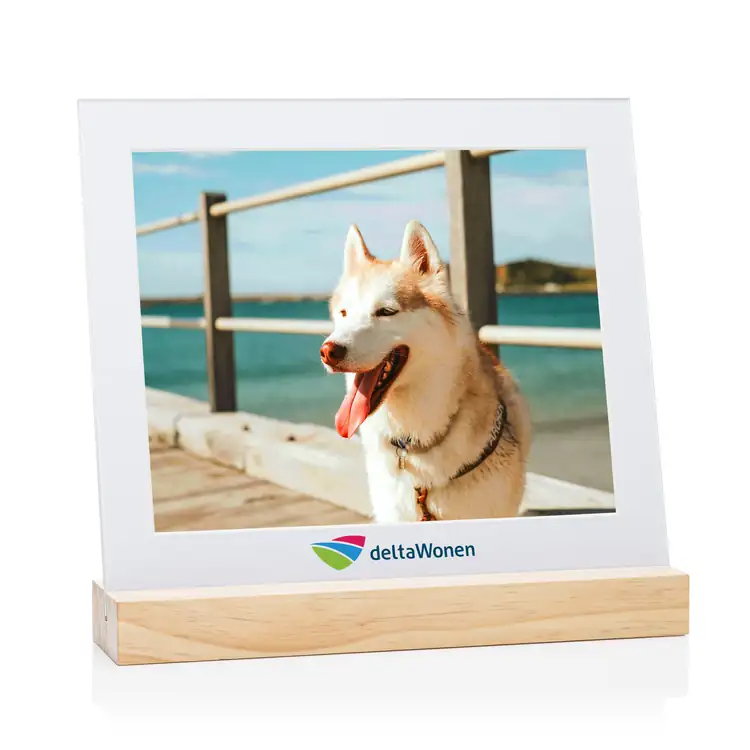 Bassan Multicolor Picture Frame for Photo 8" x 10" - Horizontal