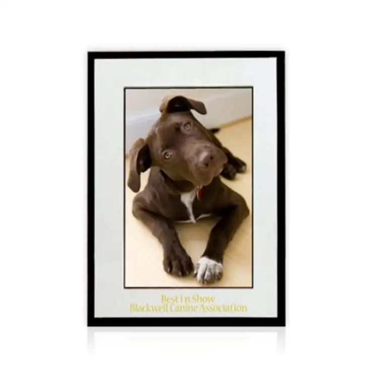 Grove Chipboard Picture Frame for Photo 4" x 6" #2