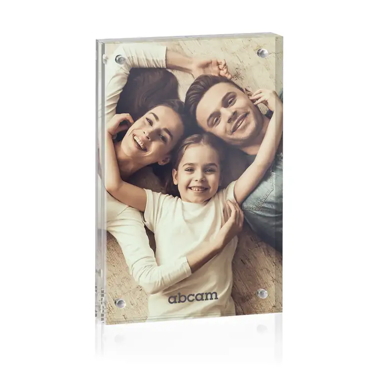 Kirkham Picture Frame for Photo 4" x 6"