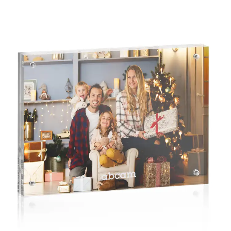Kirkham Picture Frame for Photo 6" x 8" #2