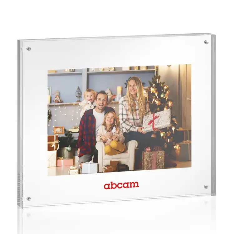 Kirkham Picture Frame for Photo 8" x 10" #6