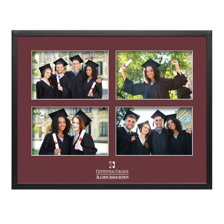 Wolver 4 Picture Frame #4