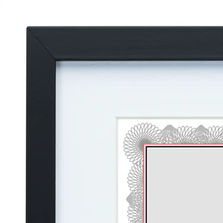Carter Certificate Frame #6