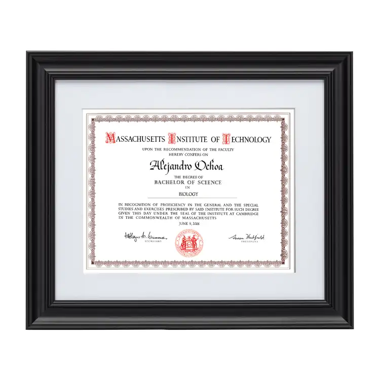 Daytona Certificate Frame