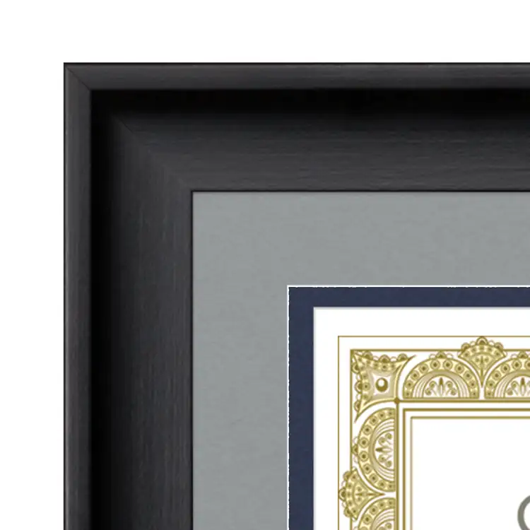 Fleetwood Certificate Frame #12
