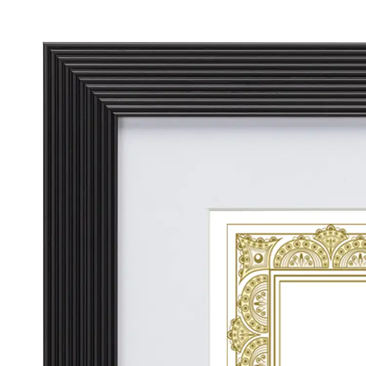 Guildhall Certificate Frame #2