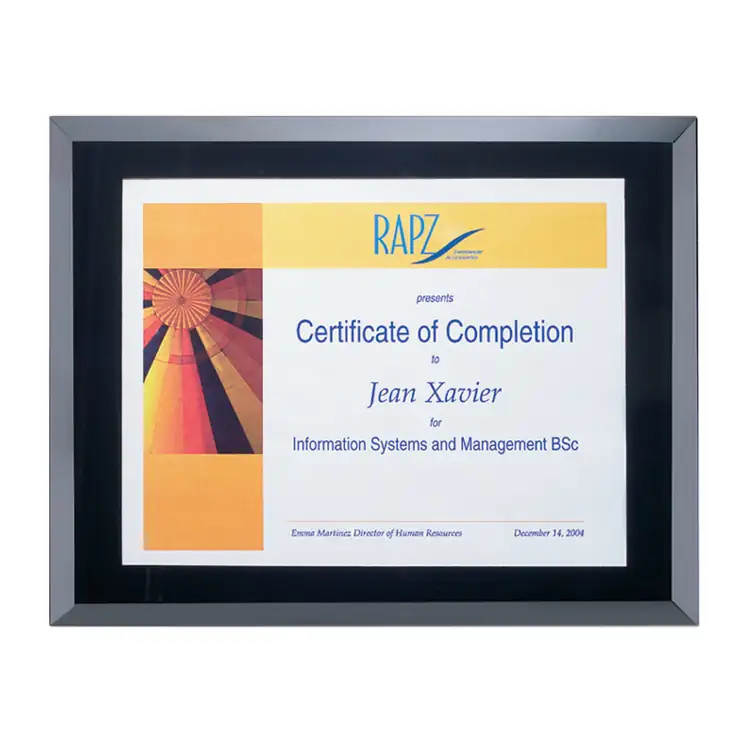 Harbinger Certificate Frame