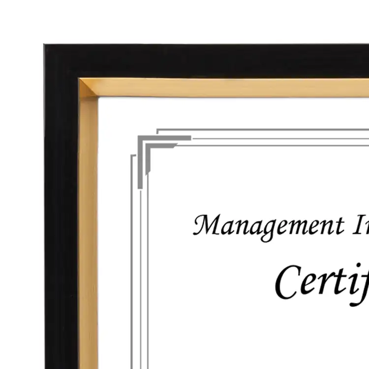 Napier Certificate Frame #2