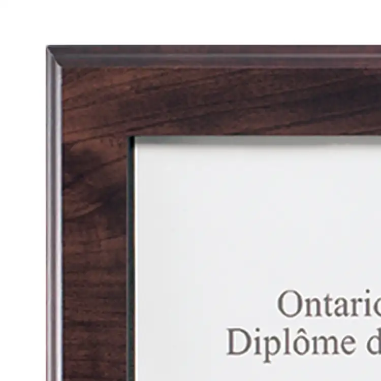 Prestige Certificate Frame #2