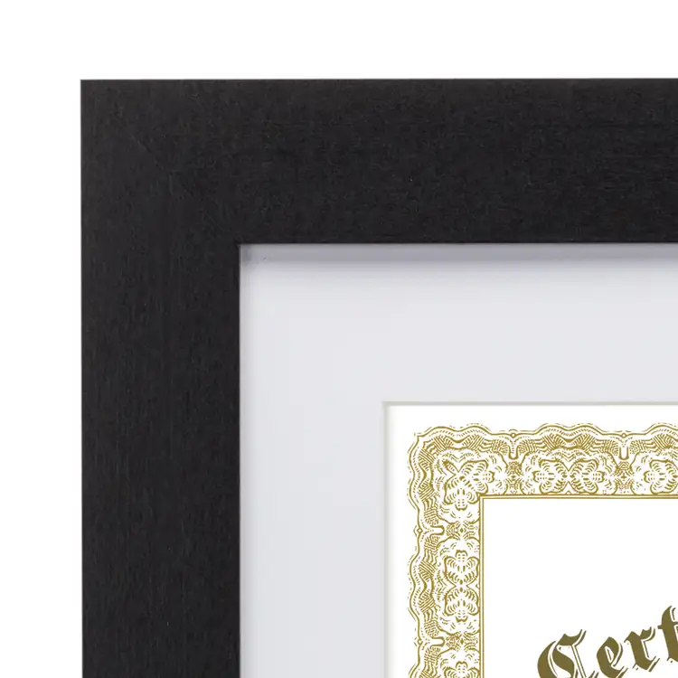 Savona Certificate Frame #2