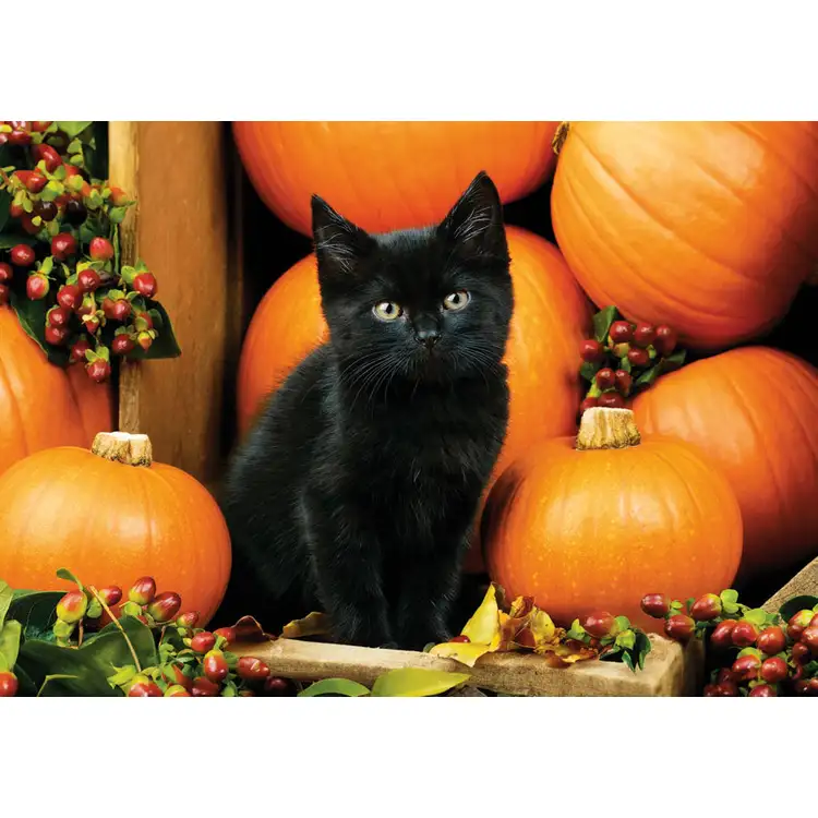 Calendrier Animaux de compagnie 2027 #12