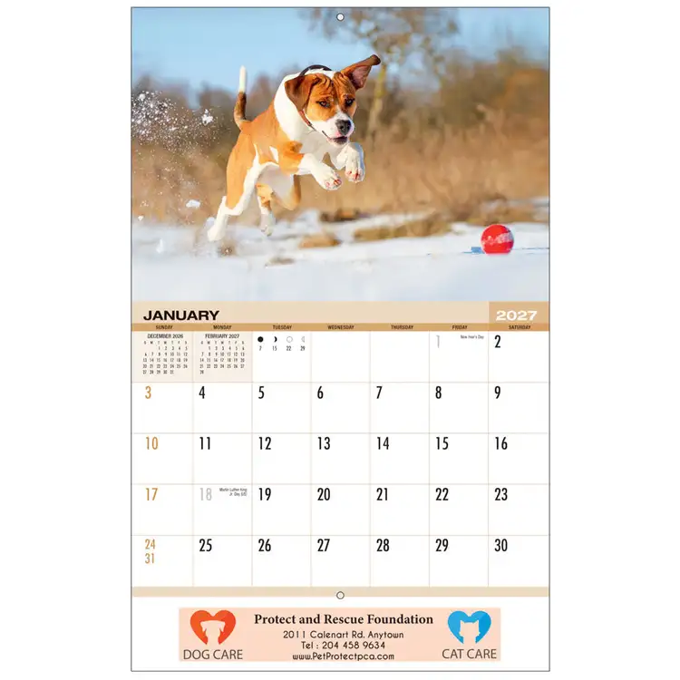 Calendrier Animaux de compagnie 2027 #2