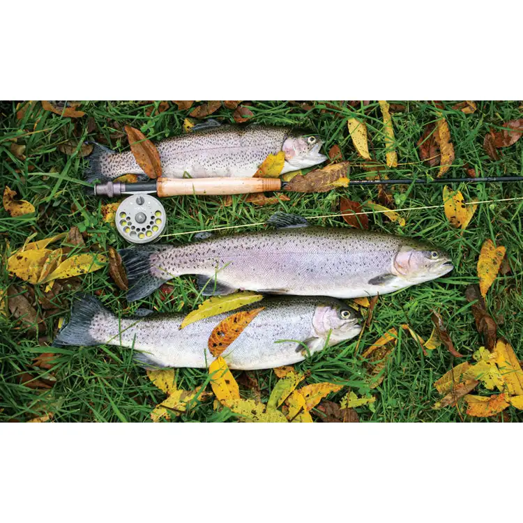 Calendrier Chasse et pêche 2027 #10