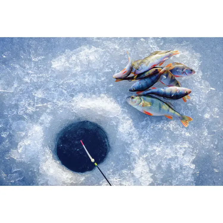 Calendrier Chasse et pêche 2027 #4