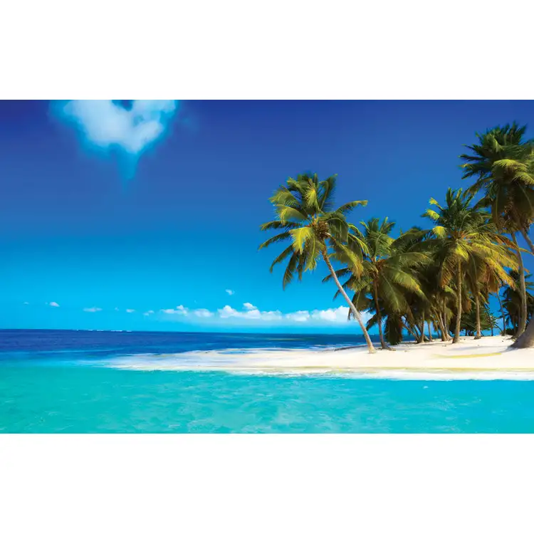 Calendrier Tropical 2027 #14