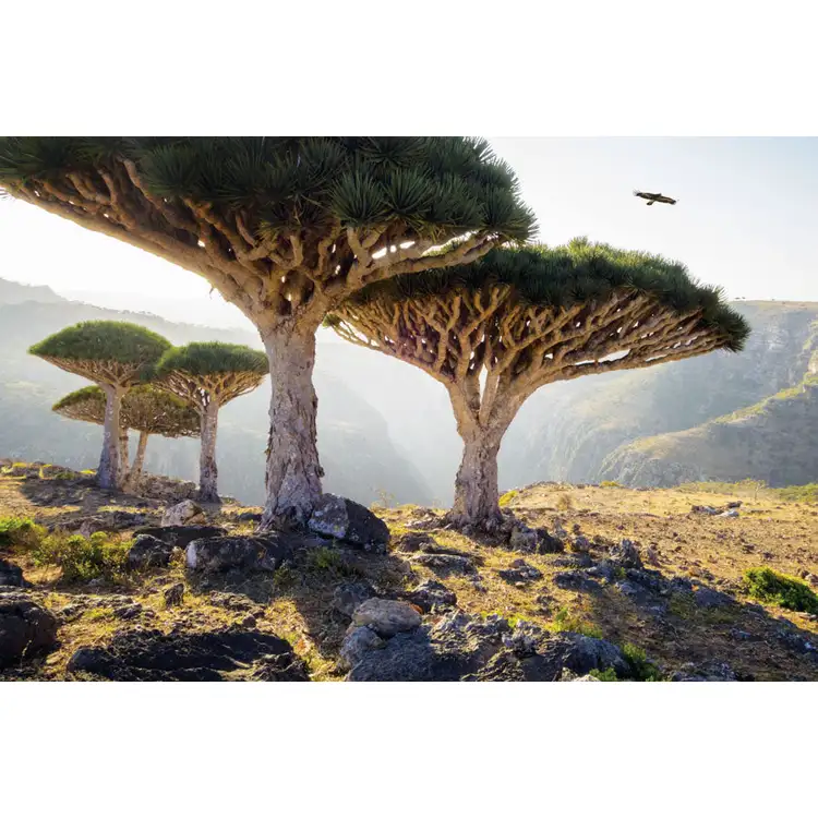 Calendrier de bureau Beaux endroits 2027 #13