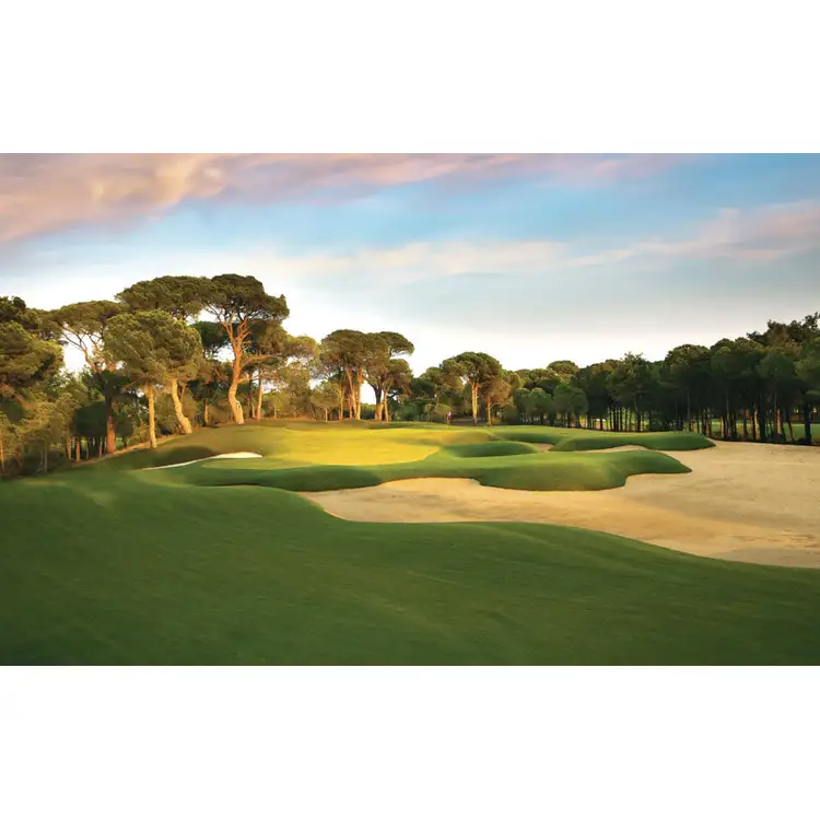 Calendrier de bureau Golf 2027 #14