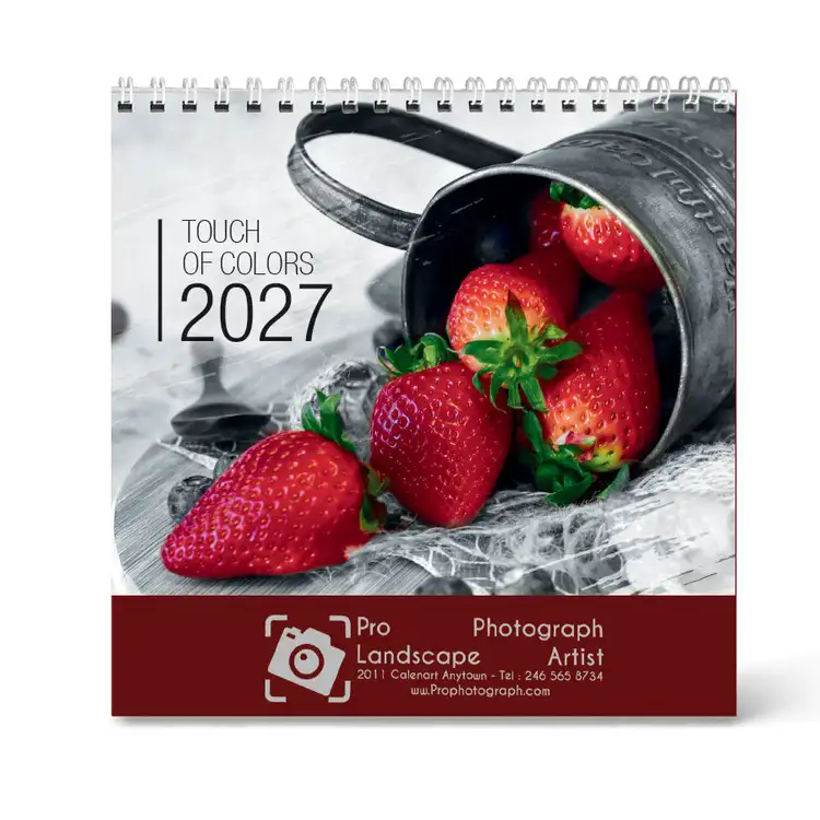 Calendrier de bureau Touche de couleur 2027 #3