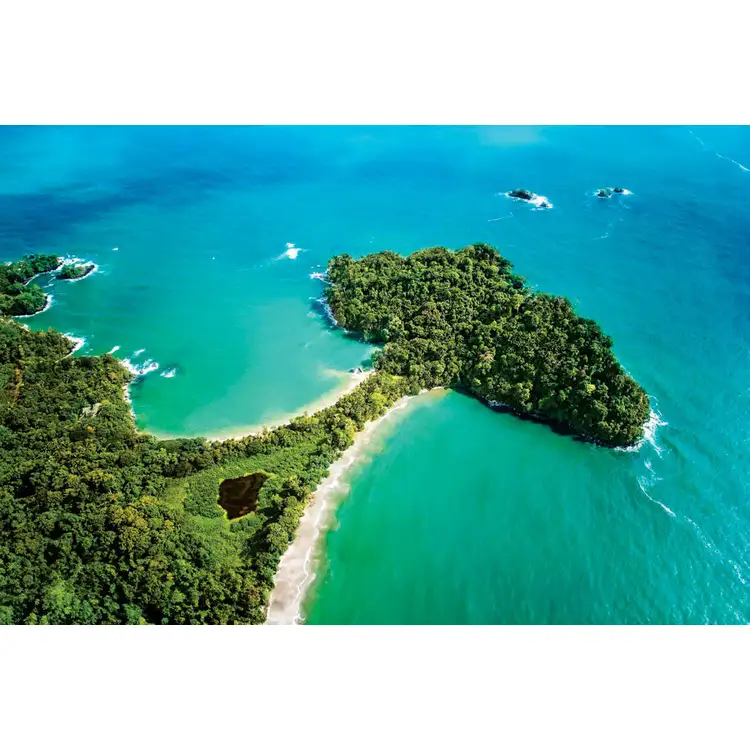 Calendrier de bureau Tropical 2027 #9