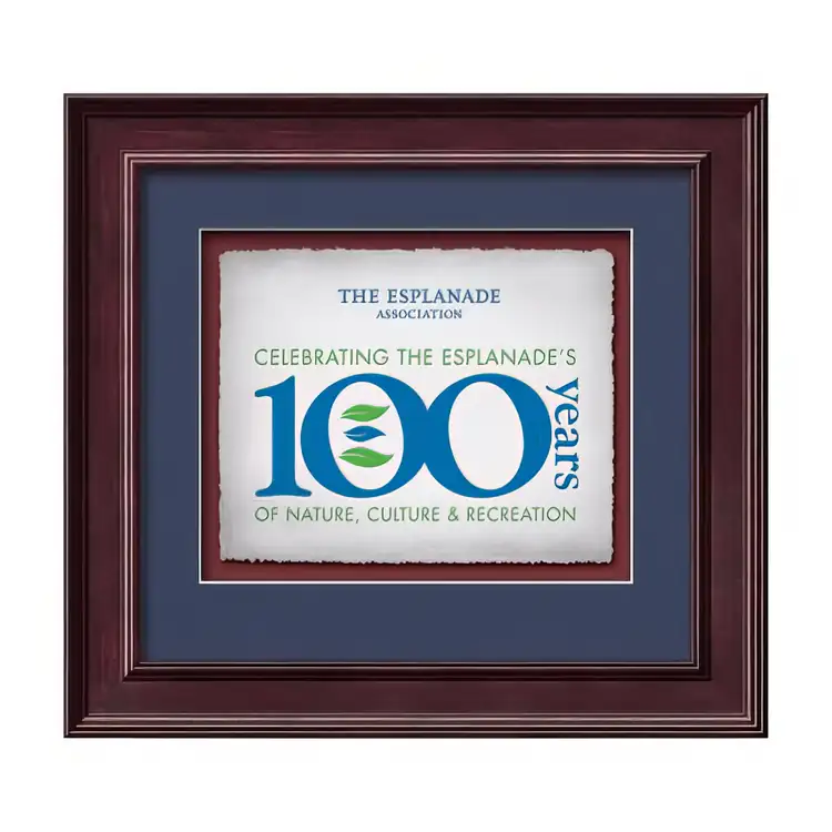 Waterleaf Calder Multicolor Framed Certificate #4