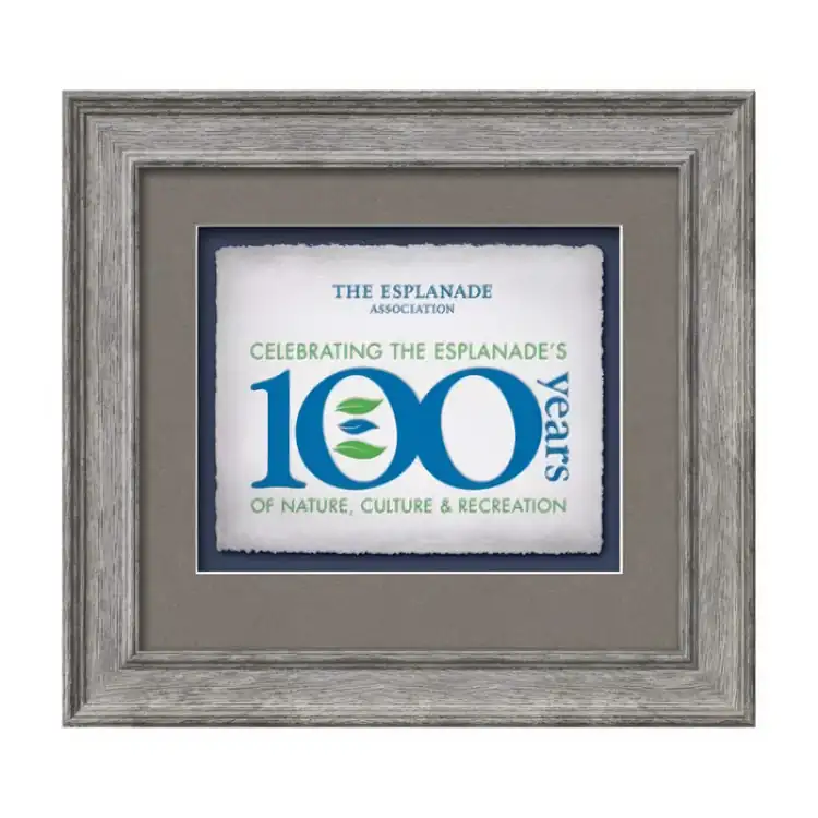 Waterleaf Calder Multicolor Framed Certificate #6