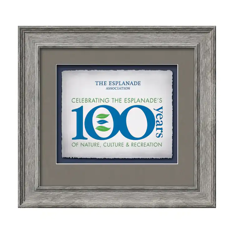 Waterleaf Calder Multicolor Framed Certificate #7