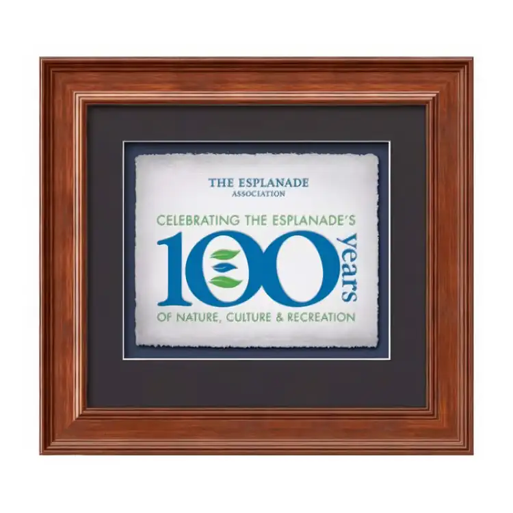 Waterleaf Calder Multicolor Framed Certificate #9
