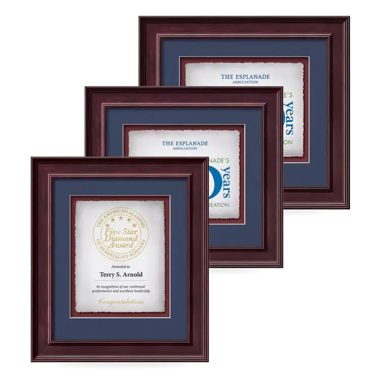 Waterleaf Calder Multicolor Framed Certificate