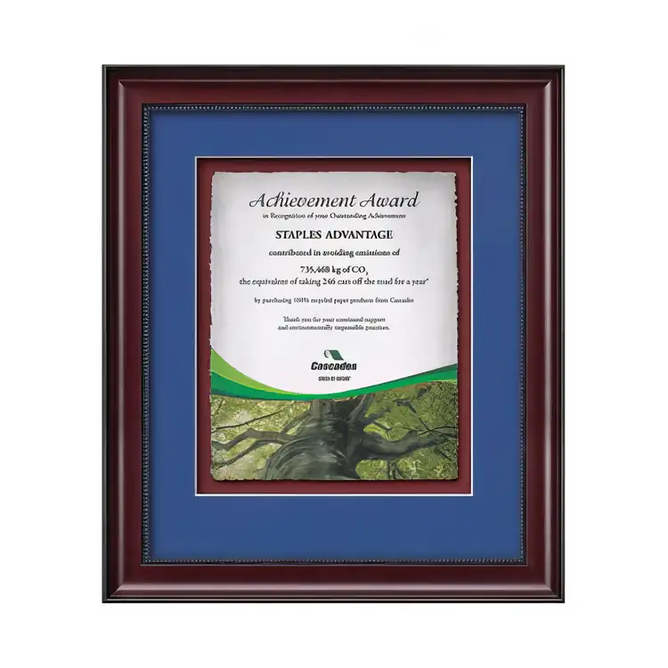 Waterleaf Caprera Multicolor Framed Certificate #2