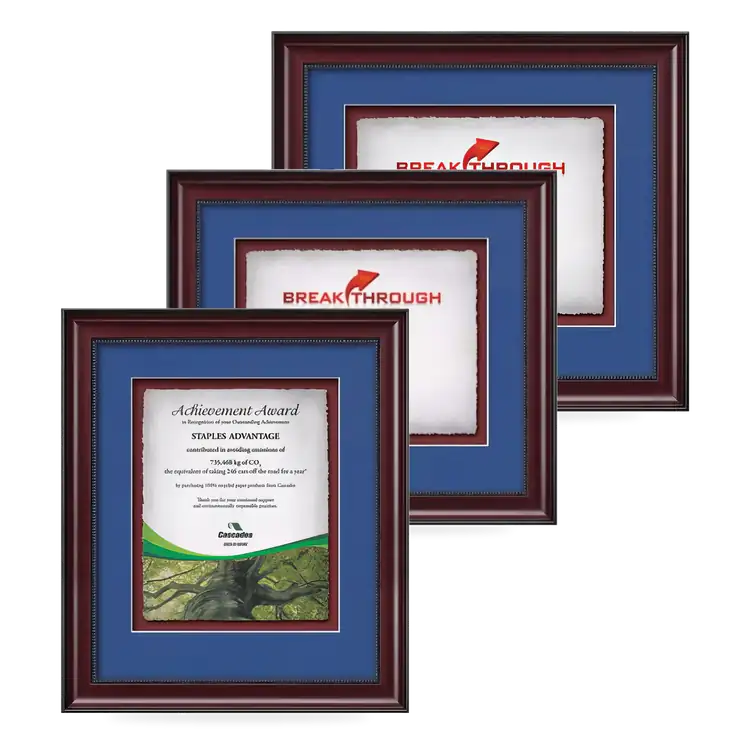 Waterleaf Caprera Multicolor Framed Certificate