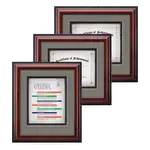 Certificat encadré Waterleaf Cornaro Multicolore