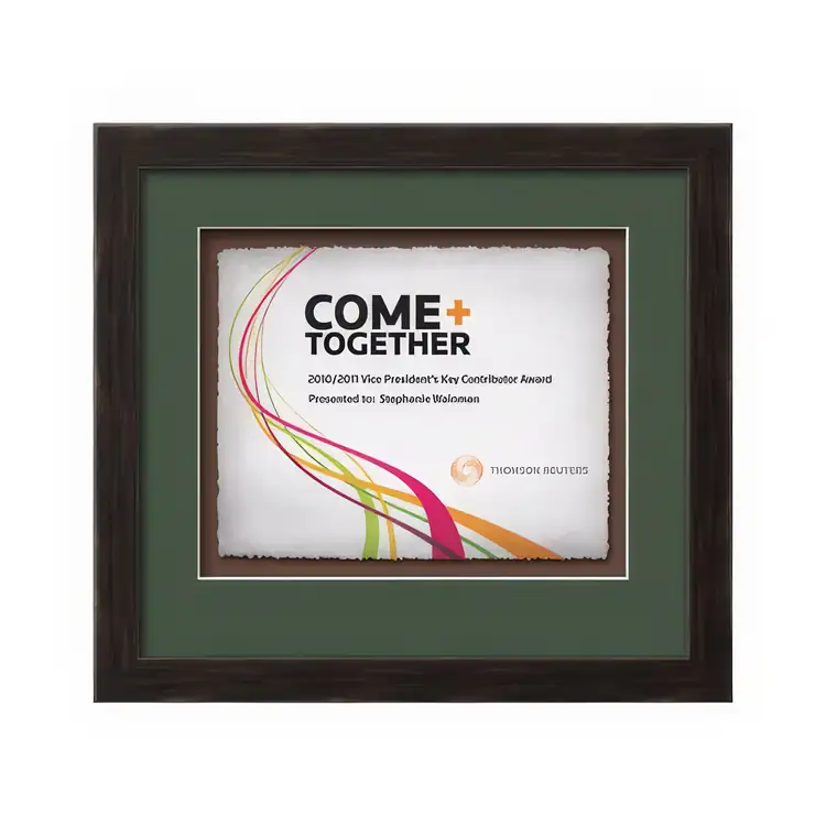 Waterleaf Eldridge Multicolor Framed Certificate #19