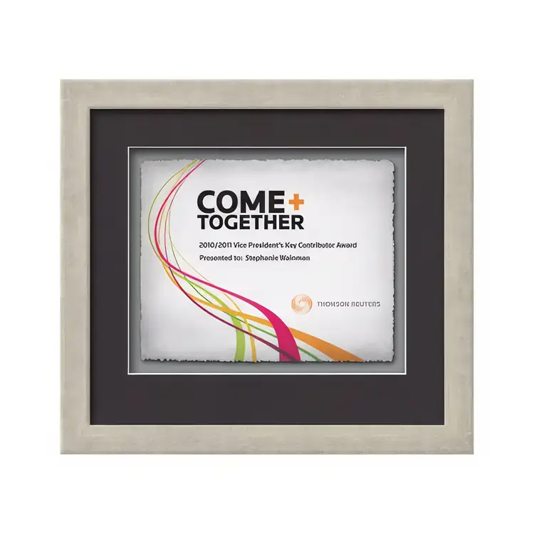 Waterleaf Eldridge Multicolor Framed Certificate #24