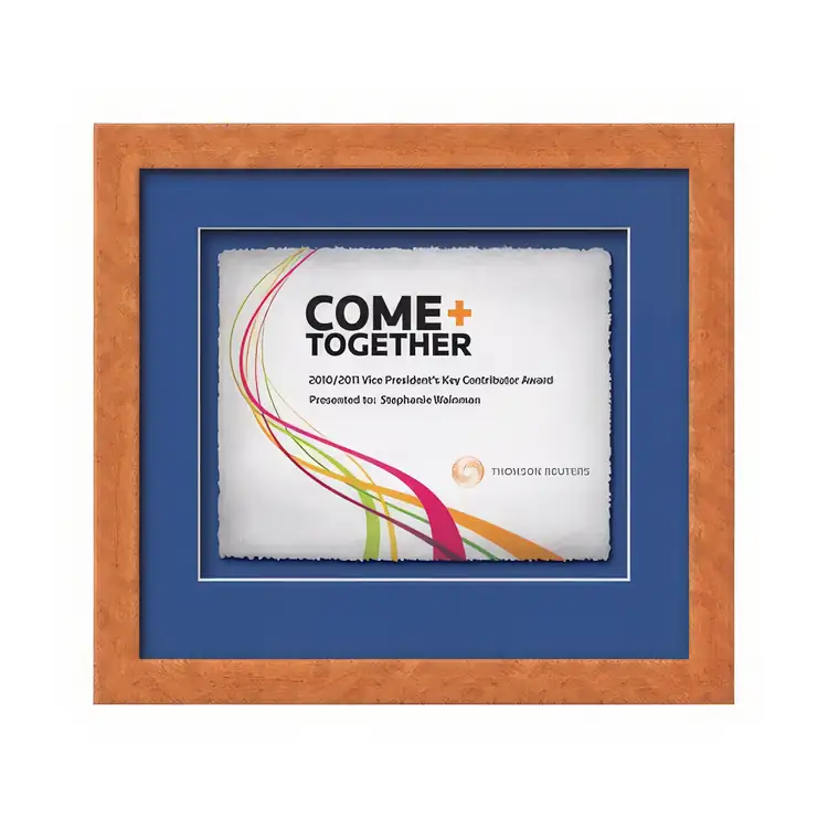 Waterleaf Eldridge Multicolor Framed Certificate #27