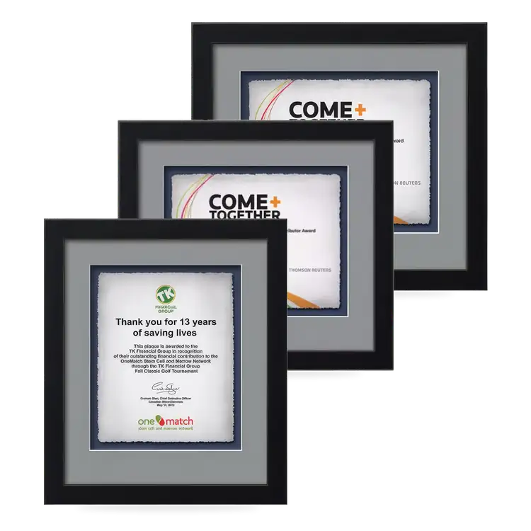 Waterleaf Eldridge Multicolor Framed Certificate
