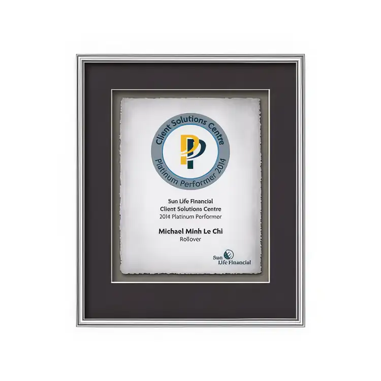 Certificat encadré Waterleaf Fenestra Multicolore #5