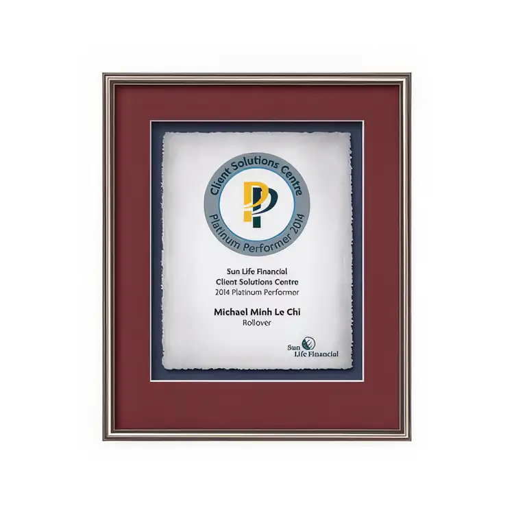 Certificat encadré Waterleaf Fenestra Multicolore #7
