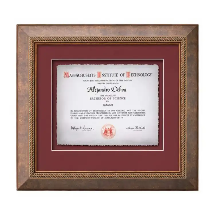 Waterleaf Grazia Multicolor Framed Certificate #3